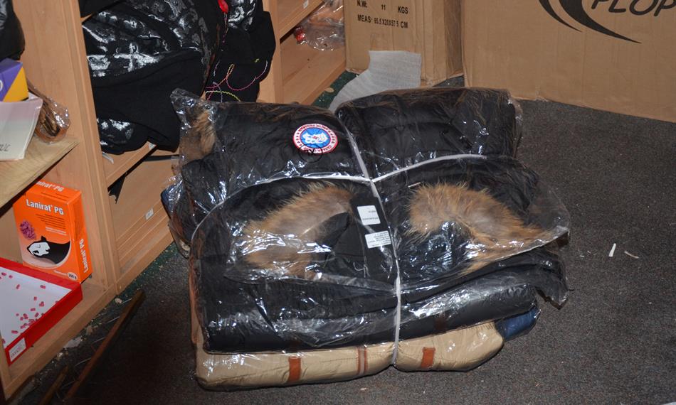 2014-11-20-137Canadian Goose 7.JPG